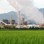 Estudo do impacto ambiental 