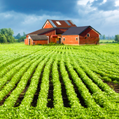 Laudos de Avaliação de Imóveis Rurais